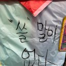 [대만여행] 대만 예스폭진지 내돈내산 투어 후기(제발 읽어주세요, 착한투어, 가이드 추천)