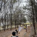 숲의요정 | 부산 원어민 숲체험 부산시민공원 원어민체험 요정 해적테마체험