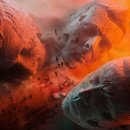 리드뮤즈 이미지