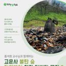 🌱 고운사 불탄 숲 자연복원 현장 탐방단 모집 2 🌳