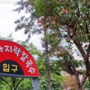 일산칼국수 이미지