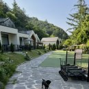 메리도그 이미지