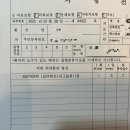 12~15주 | 초기에서 중기로