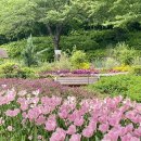 숲속쉼터 이미지