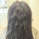 시크헤어 이미지