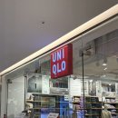 베럴핏 | 유니클로 바지 저지베럴레그팬츠 하체통통의 솔직 후기 (컬러별 비교 포함)