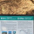 월정사 화장실 | 20260117-20260118 평창 오대산 월정사 템플스테이