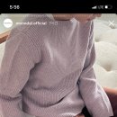 베이지보울 이미지