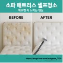 고양 매트리스 청소업체 : 셀프청소 비추천