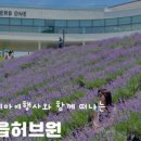 담양목장 이미지