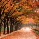 아름다운부동산공인중개사사무소 이미지