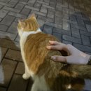 (주)건맨 | JOY콘서트 동아리활동보고서