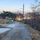 상구농장 티스토리