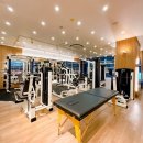 리바디핏 이미지