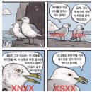 민이네김밥