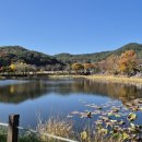 대유목장 이미지