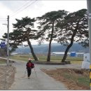 교가1리마을회관 이미지