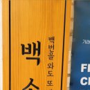 백소정홍대 이미지