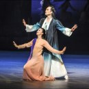 태양의 축제 이미지