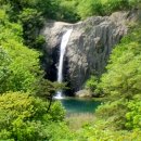 정원행정사 사무소 이미지