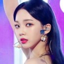 쁘띠펫 이미지