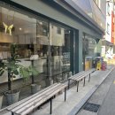 젤라떼리아도도