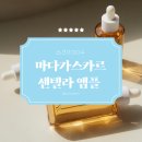 피부1004 | 올리브영 추천템 스킨1004 ‘마다가스카르 센텔라 앰플‘ 여드름성 피부 1달 사용 후기