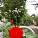 전주서신중학교 이미지