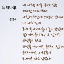 자연이 하는 말을 받아쓰다 이미지