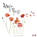 캘리그라피 티스토리