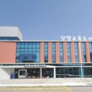 단양교육도서관 이미지