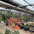 용등농장 이미지