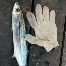 오복펜션 이미지