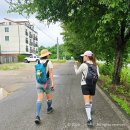 양평-용문-용문-5 | 양평 물소리길 6코스 후기｜장마철 용문역~용문산관광지 10.7km 걸어보니