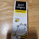 환절기 우리 아이 구강 건강 필수템 안심하고 칙칙 뿌리는 함소아 프로폴리스 스프레이 솔직 후기