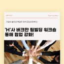 하우컷 이미지