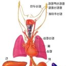 오장보사(五臟補瀉) 하는법[여러번 읽어 보세요] 이미지