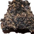 여래한의원 이미지