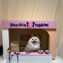 몽실이네 이미지