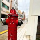 윤동희119닭발 이미지