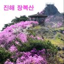 ♥100대명산♥진해 군항제 & 장복산 3월31일 *1시간조출 이미지