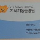 21세기 동물병원 이미지