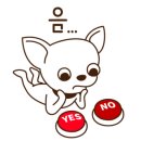 나나애견미용 이미지