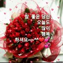 꼬망쎄 이미지