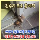 메딕프로서울지사 | 파주 아파트 실외기실 다용도실 방화문 부식 용접 복원 수리