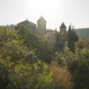 고대1089 이미지