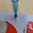 태전동물병원 이미지