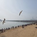 빌라안나(villa anna) | 🇨🇳[중국] 칭다오 여행 필수 코스! 성미카엘 성당, 잔교, 중산로 거리