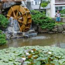 사파중학교 이미지