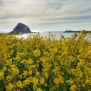 나들이어린이공원 이미지